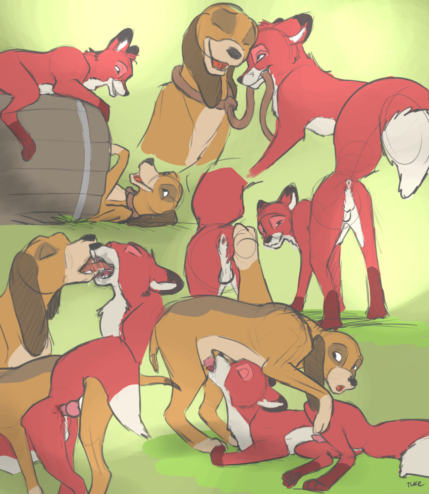 The fox and the hound gay furry porn