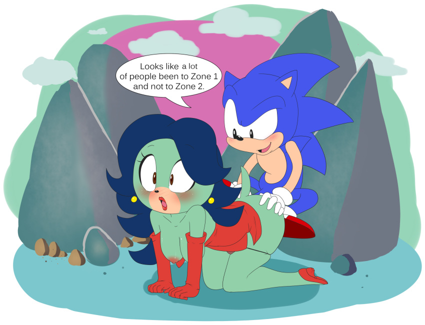 the sonic the bat hedgehog rouge Trials in tainted space vagina