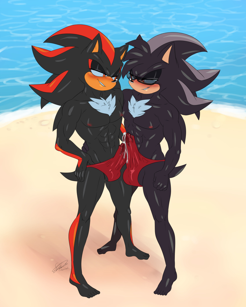 hedgehog shadow the and rouge Nobody in particular family duties