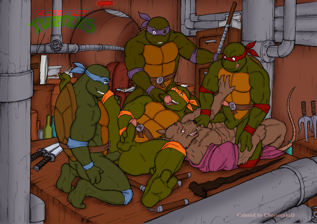 e621 turtles teenage ninja mutant Sonya blade mortal kombat vs dc universe