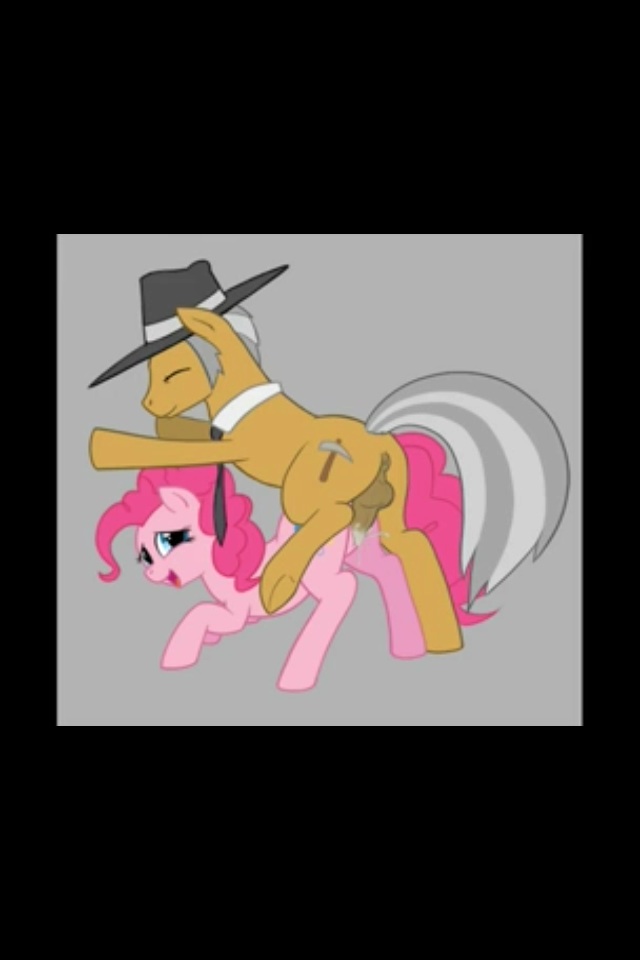 pony pie and little my cheese sandwich pinkie Me!me!me! hd